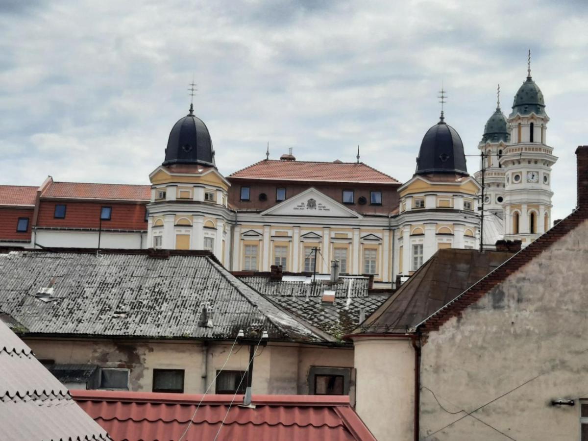 Vip On Duhnovicha Street .free Parking. Apartment Uzhhorod